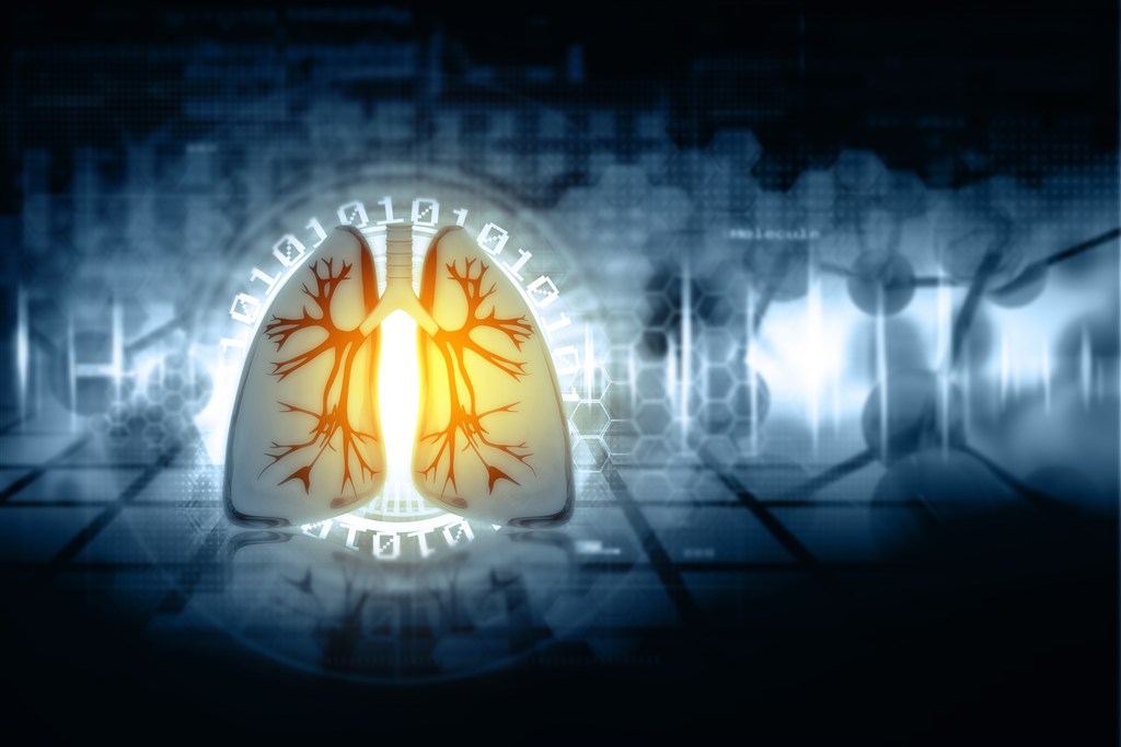肺部造型素材 第1页