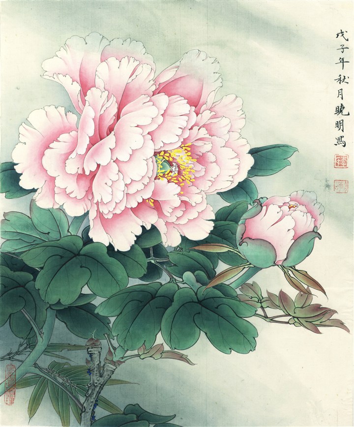 玉芙蓉牡丹工笔画 第1页