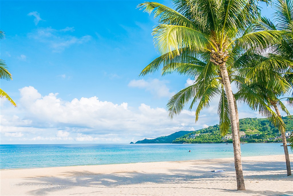 海边沙滩棕榈树蓝天白云碧海蓝天大海海边风景 第1页