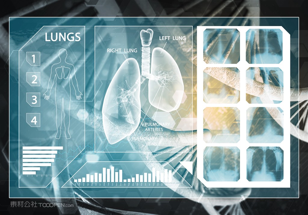 肺部生物图片 第1页
