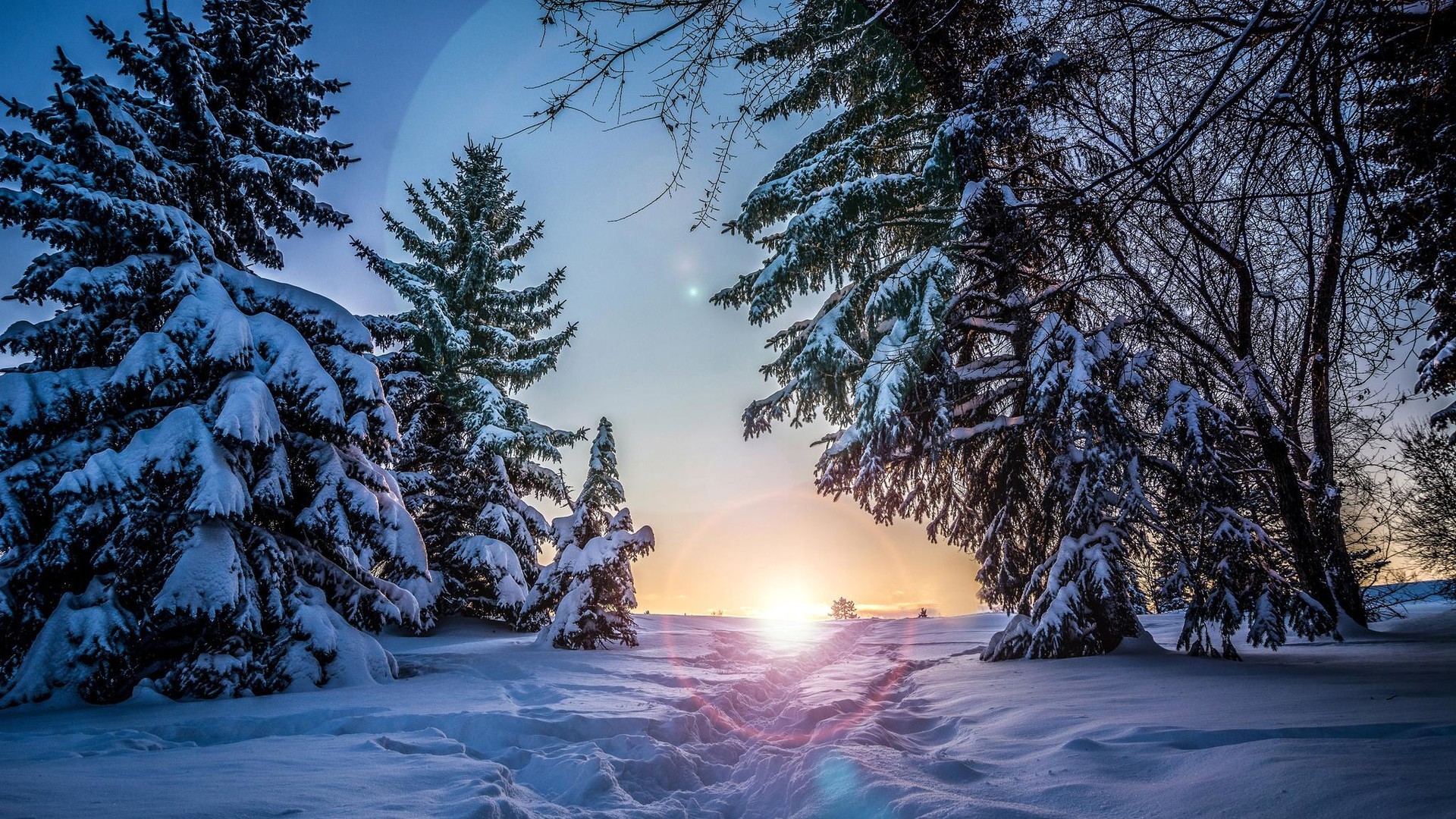 意境唯美雪景壁纸_纯白的世界最美好(7) 第7页