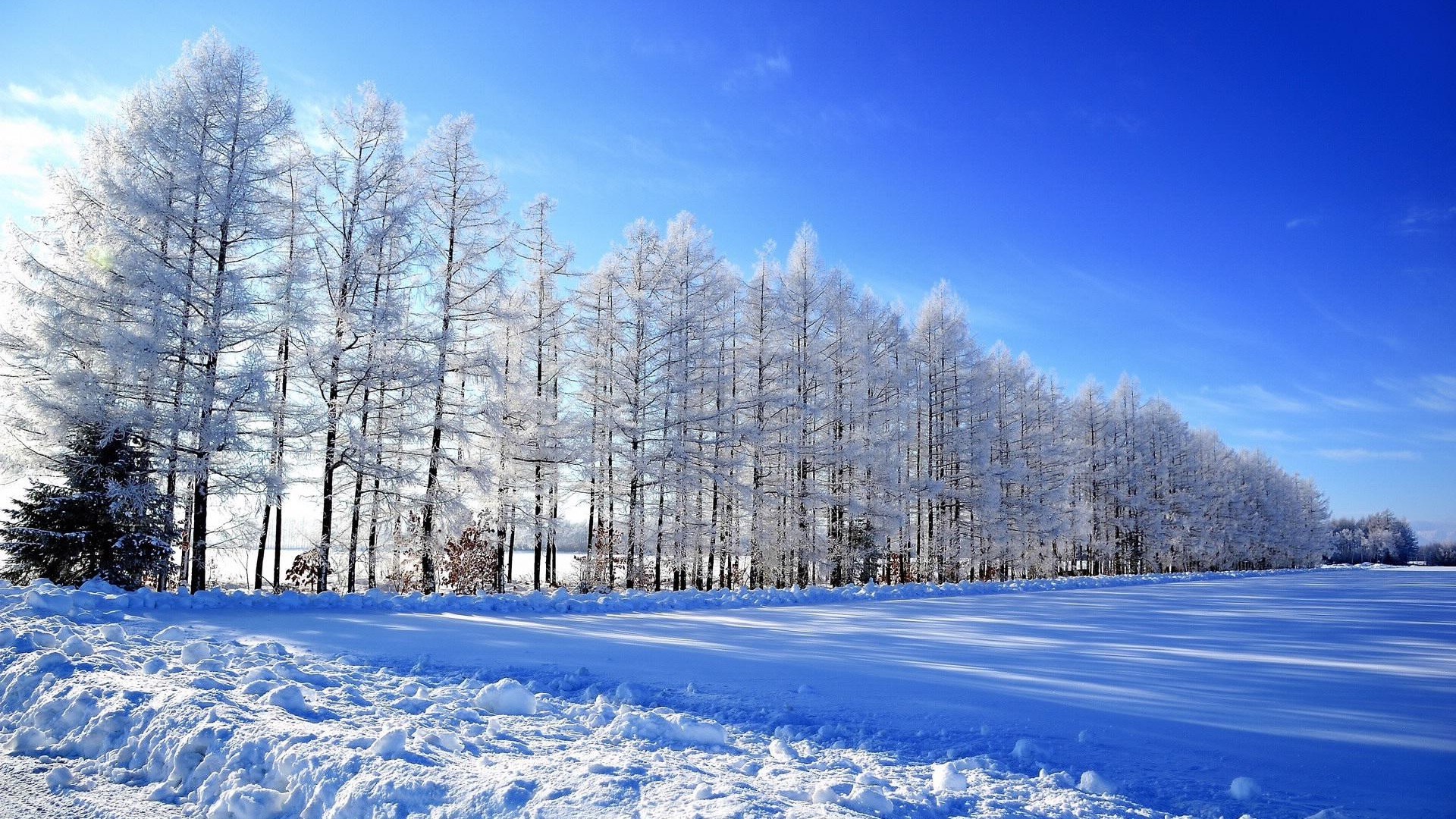 意境唯美雪景壁纸_纯白的世界最美好(8) 第8页