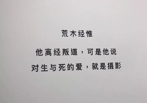 个性爱情文字图片_徒手摘星爱而不得(2) 第2页